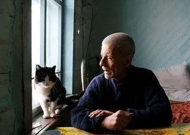养猫会使老人长寿吗 养猫会使老人长寿吗
