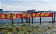 阳澄湖大闸蟹—蟹中之王