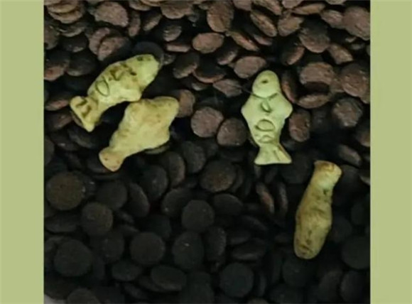 王子的零食猫粮哪个系列好 王子的零食猫粮哪个系列好