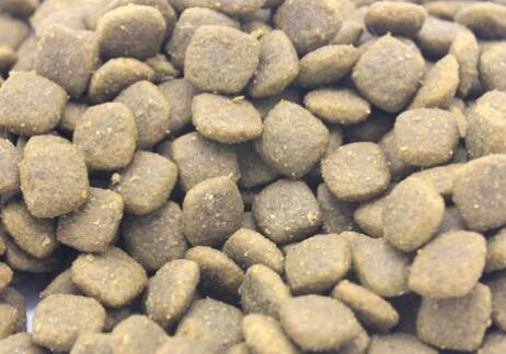 麻瓜猫粮里有毛正常吗 麻瓜猫粮里有毛正常吗