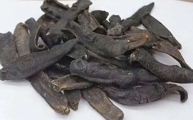 今年水蛭价格多少钱一斤
