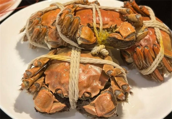 蟹公馆:饲养管理知识一览 蟹公馆:饲养管理知识一览