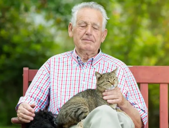 老人适合养猫咪吗 老人适合养猫咪吗