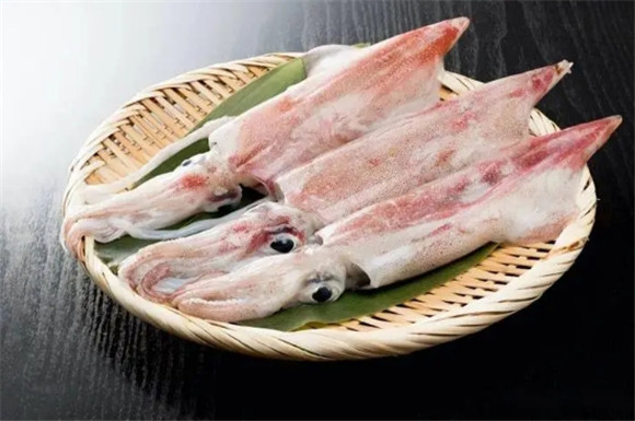 吃了没熟的鱿鱼会怎么样 吃了没熟的鱿鱼会怎么样