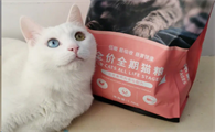 澳诺滋猫粮到底安不安全