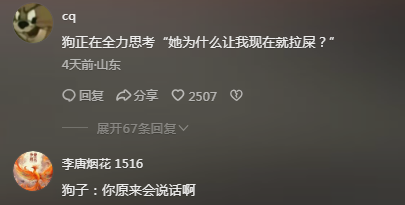 狗狗：原来你会说话呀，瞒了我这么久！