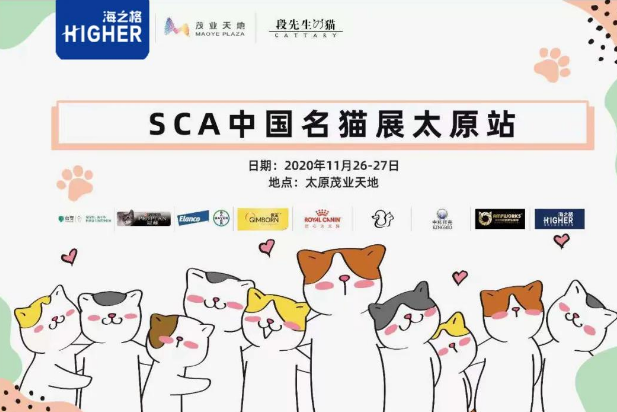 专注 专心 专情 海之格赞助SCA中国名猫展 专注 专心 专情 海之格赞助SCA中国名猫展