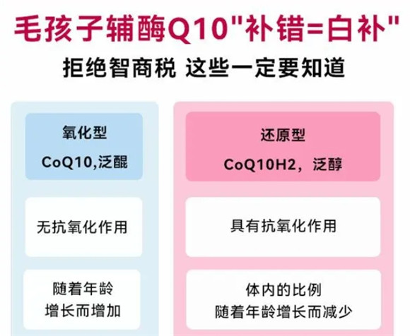 新突破!宠物超分子还原型辅酶Q10实力登场 新突破!宠物超分子还原型辅酶Q10实力登场