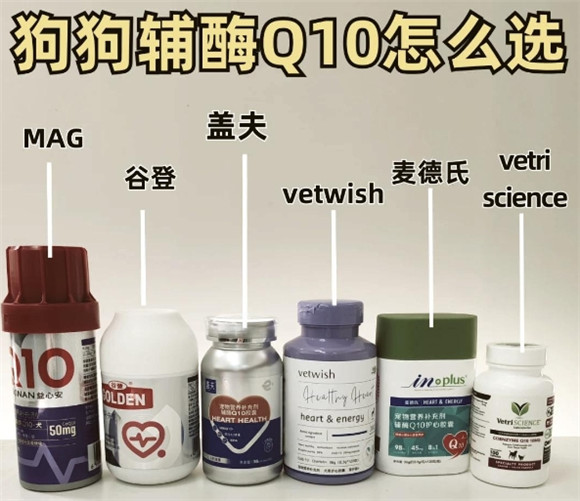 狗狗辅酶Q10五强榜单 狗狗辅酶Q10五强榜单