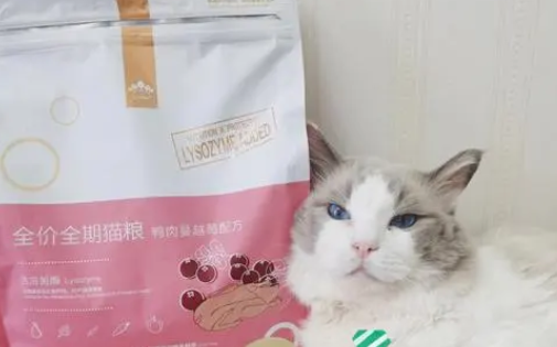 憨头猫粮属于什么粮