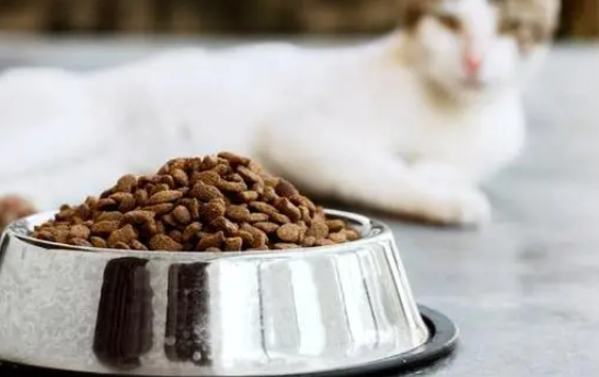尾巴日记猫粮属于什么档次 尾巴日记猫粮属于什么档次
