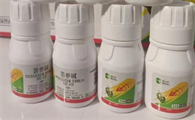 苦参碱可以杀果蝇吗