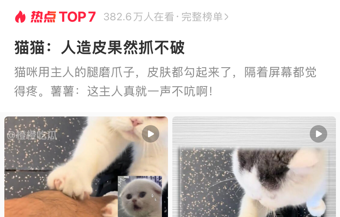 猫猫：人造皮果然抓不破！