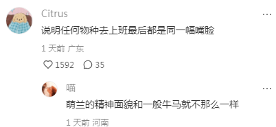 别说打工人了，小狗上班久了都会有班味