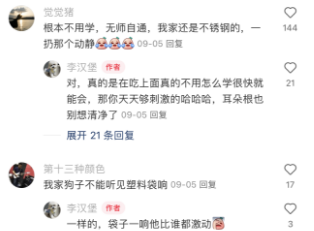 这狗一看就是个流浪的好苗子啊！！