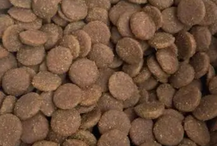 王子的零食猫粮能吃吗