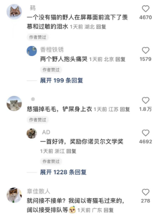 用猫猫掉的毛织了件毛衣，网友创意引热议