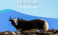 哪个牌子牦牛奶是真的