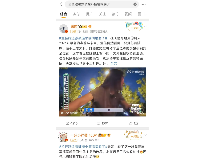 奇遇记！孟佳路边救被撞小猫情绪崩了
