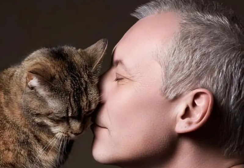 养猫对老人的身体的危害