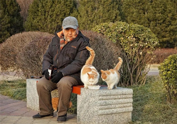 养猫对老人的身体的危害有多大 养猫对老人的身体的危害有多大