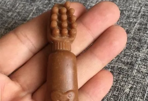 宠物磨牙棒的实际意义