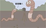 小蚯蚓问他爸爸去哪里了