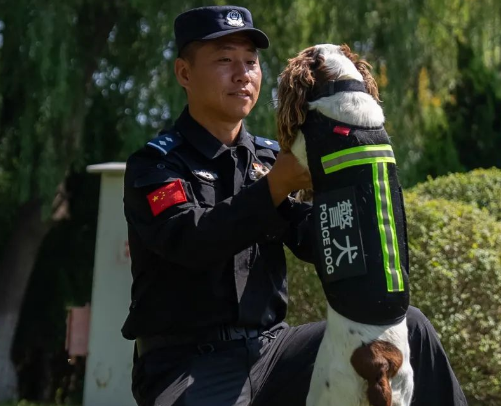 22秒！一等奖！这是警犬“豆豆”的最后一战