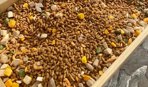 玲派猫粮是杂牌子吗 玲派猫粮是杂牌子吗