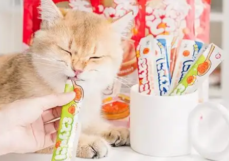 地狱厨房猫条哪个国家的