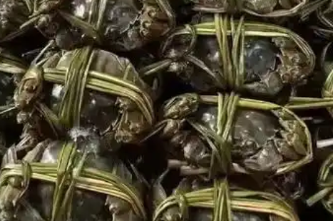 阳澄湖大闸蟹专卖直播间