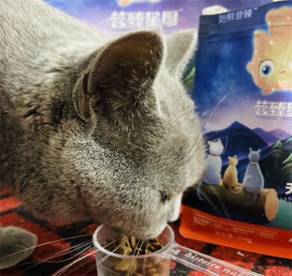 营臻星厨--高性价比的鲜肉盛宴，猫咪新宠！