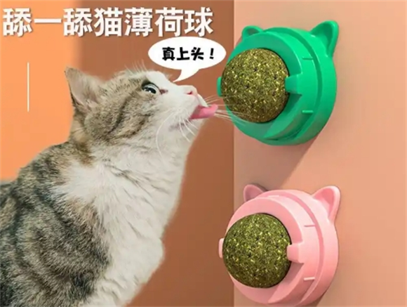 小古世猫薄荷球，猫咪自嗨的耐咬洁齿神器