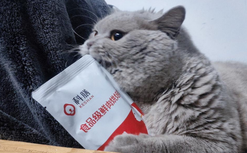 科膳