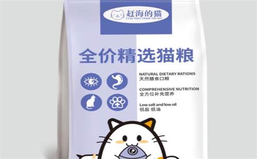 赶海的猫