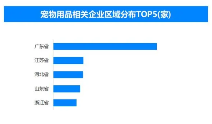 宠物如何成为家庭新宠并引领消费新风尚