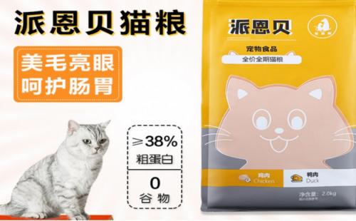 派恩贝