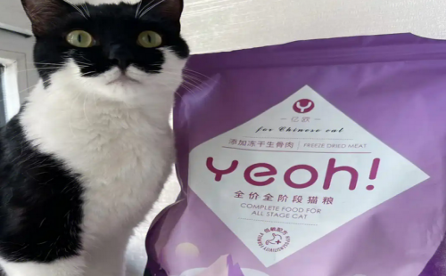 亿欧