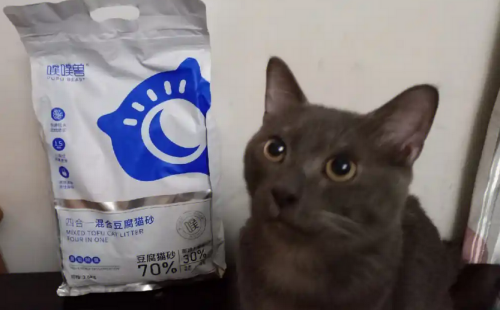 噗噗兽