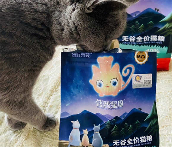 营臻星厨--高性价比的鲜肉盛宴，猫咪新宠！