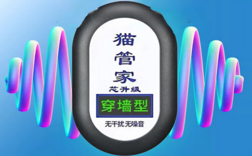 猫管家