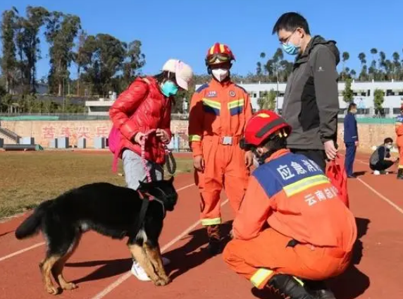 39只搜救犬“考编”失败？回应：已有八百多人报名领养