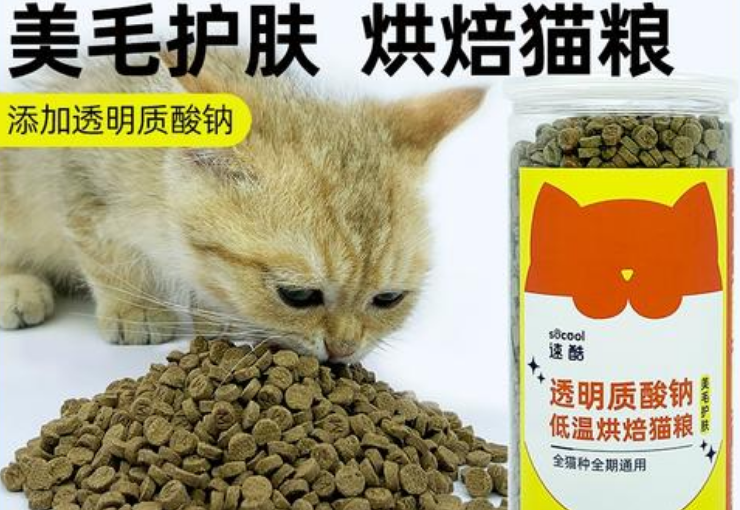 速酷是哪里的品牌 速酷是哪里的品牌