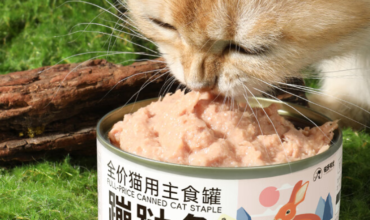 猫粮市场最新动态：营养与口感的新追求