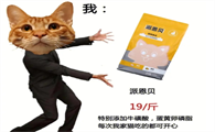 派恩贝猫粮，猫咪健康成长的秘密武器