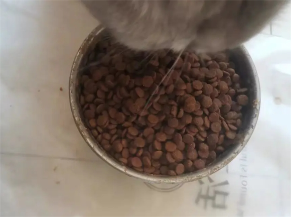 宠睦家全价鲜肉无谷猫粮，成猫的理想选择