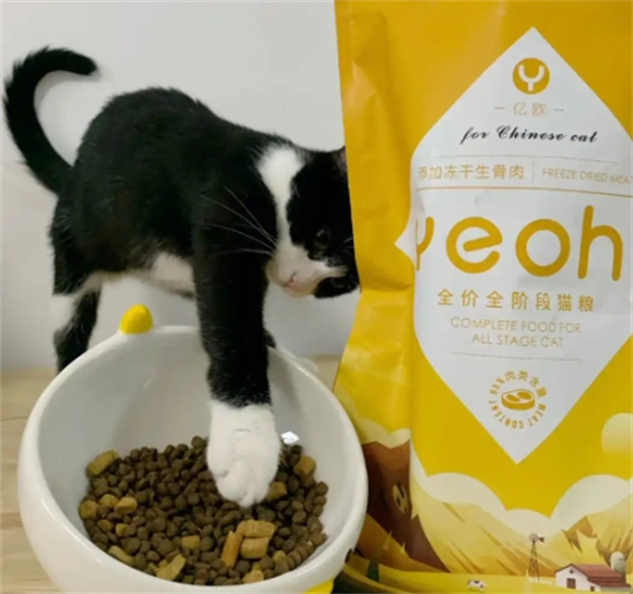 亿欧猫粮:国货之光,猫咪健康新选择 亿欧猫粮:国货之光,猫咪健康新选择