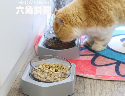 搭啵兔宠物碗:为宠物健康与用餐便利而生 搭啵兔宠物碗:为宠物健康与用餐便利而生