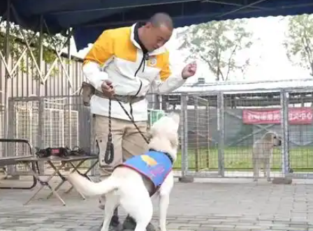 导盲犬进地铁遇嘴罩难题