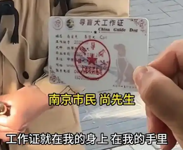 南京一男子称“带导盲犬医院看病被拦”,多方回应 南京一男子称“带导盲犬医院看病被拦”,多方回应